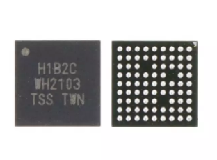 IC H1B2C
